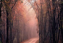 米博体育：校园篮球全明星周末落幕 谷玥灼战队捧杯.