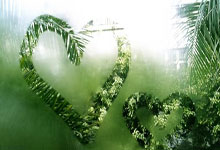 米博体育：克裏斯坦特：這個比分會為我們在下一回合的比賽提供幫助，羅馬仍在不斷進步！.